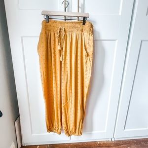 Aerie Elastic Waist & Ankle Golden Harem Pants